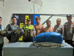 Polsek BatangToru Gelar Razia, 2 (dua) Orang Ketangkap Membawa Narkotika Jenis Ganja Sebanyak 2 Karung