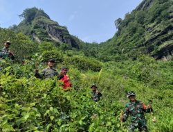 TNI AD Menyatu dengan Alam, Hijaukan Gunung Bayangkaki, Ponorogo