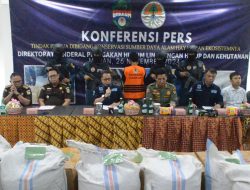 Tim Gabungan Gakkum KLHK Berhasil Gagalkan 1,2 Ton Sisik Trenggiling Dari Kabupaten Asahan