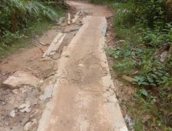 Diduga Pembangunan Jalan Rabat Beton Dijorong Batang Kundur Nagari Cubadak barat Dikerjakan Asal-Asalan.