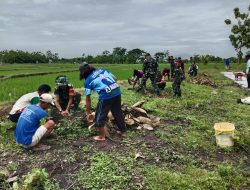Penanaman Pohon Sukun Upaya Koramil Karangmalang Mendukung Penghijauan
