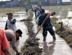 Sinergi TNI-Polri dan Warga: Gotong Royong Pulihkan Irigasi di Trenggalek