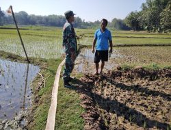 Babinsa Klego Ajak Petani Desa Karangmojo Untuk Percepat Masa Tanam