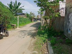 Ada apa Jalan Bambu Dusun 14 Desa Firdaus Dipasang Fortal 