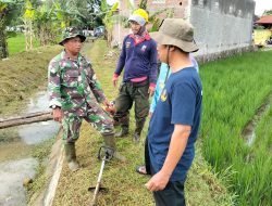 Babinsa Nogosari Bantu Optimalkan Saluran Irigasi Untuk Petani