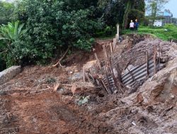 Puluhan Ribu Ikan Mati Akibat Tercemar Air Limbah