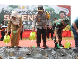 Dengan Menanam 1 Juta Hektare Jagung, Polda Sumut Fokus Produksi 100 Ribu Ton