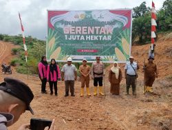DUKUNG PROGRAM KETAPANG POLSEK LINGGA BAYU KERJA SAMA FORKOPIMCAM LAKSANAKAN PENANAMAN JAGUNG SERENTAK SATU JUTA HEKTAR.
