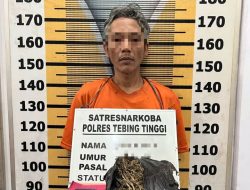 Bawa 921 Gram Ganja, Seorang Pria Ditangkap Sat Resnarkoba Polres Tebingtinggi.