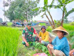 Kedekatan Babinsa Teras Dengan Petani Desa Kopen