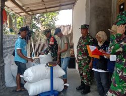 Koramil Teras Dampingi Bulog Serap Gabah Petani Desa Nepen