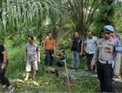 Gerebek Sarang Narkoba, Satres Narkoba Polres Sergai Amankan Tiga Orang