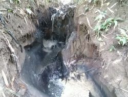 PKS PT.TSP Sipispis Diduga Membuang Limbah ke Aliran Sungai, Picu Kekhawatiran Warga