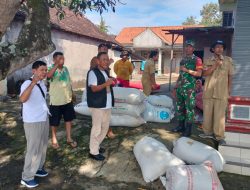 Peran Nyata Koramil Klego Dalam Program Ketahanan Pangan Nasional