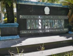 “Petani Menjerit, Penyuluh Hilang: Siapa Bertanggung Jawab?”