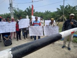 Diduga Rubah Kawasan Hutan Jadi Kebun Kelapa Sawit, Kelompok 80 Minta Presiden Tutup PT DMK
