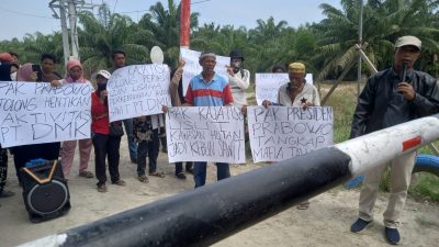 Diduga Rubah Kawasan Hutan Jadi Kebun Kelapa Sawit, Kelompok 80 Minta Presiden Tutup PT DMK