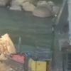 Aktivitas PETI Makin Mengganas Di Daerah Aliran Sungai Beremas Duo Koto Pasaman,APH Diduga Tutup Mata