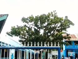 Anggaran Miliaran Tak Terlihat, SMPN 1 Percut Seituan Diduga Sarat Penyimpangan Dana BOS