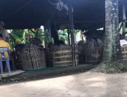 Pasar 4 Marelan Diduga Jadi Markas Sabung Ayam & Judi Kartu, Beroperasi Bebas Tiap Akhir Pekan