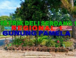 Gaji Tak Dibayar, PTPN IV Kebun Gunung Pamela Dinilai Langgar Hak Pekerja