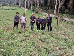 UPT BPP Sigap Tanggapi Keluhan Kelangkaan Pupuk di Pancur Batu