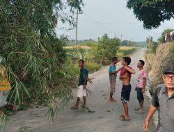 Masyarakat Dusun Maniksilau Bergotongroyong Bersihkan Jalan Dusun Tampa Perangkat Nagori Tigabolon