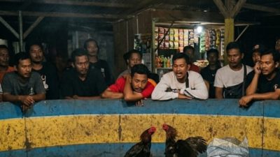 Sorotan Publik Menguat, Penanganan Dugaan Judi di Marelan Dipertanyakan