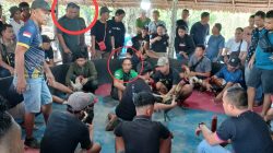 Penanganan Judi Sabung Ayam Dipertanyakan, Aparat Diminta Transparan