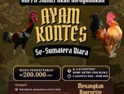Anomali Pulbaket Polsek Deli Tua: Inspeksi Pagi, Praktik “Adu Laga” Sabung Ayam Tetap Jalan Terus