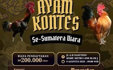 Anomali Pulbaket Polsek Deli Tua: Inspeksi Pagi, Praktik “Adu Laga” Sabung Ayam Tetap Jalan Terus