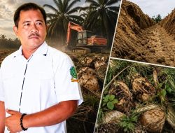 LSM BOPPAN RI Soroti Replanting Afdeling 5 Bah Jambi, Dugaan Ketidaksesuaian Pekerjaan Disorot